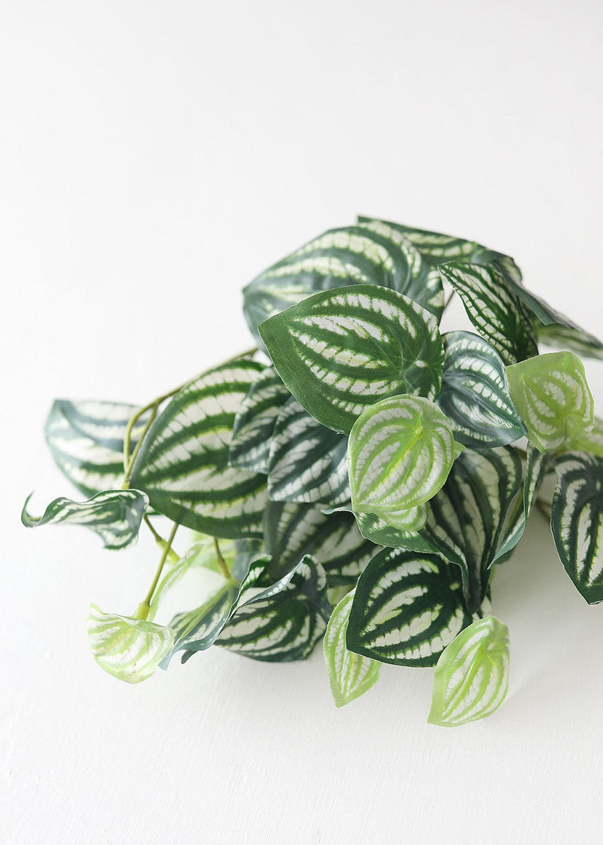 Artificial Natural Touch Watermelon Peperomia Plant - 13 | Afloral (US)