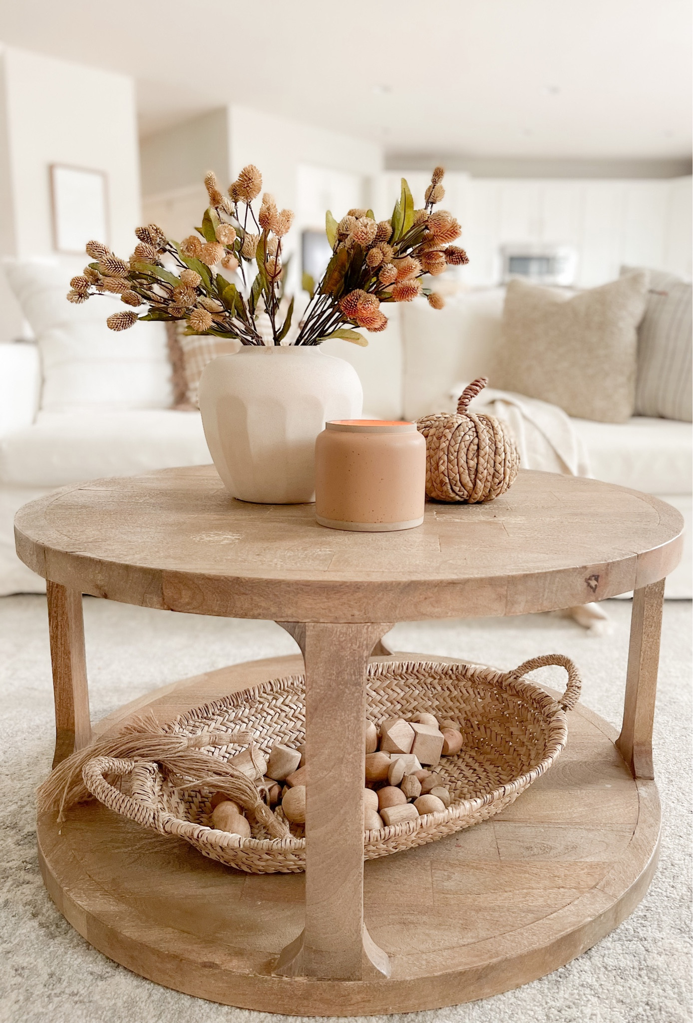 Fall coffee table decor, neutral fall decor, fall stems

#LTKSeasonal #LTKunder50 #LTKhome