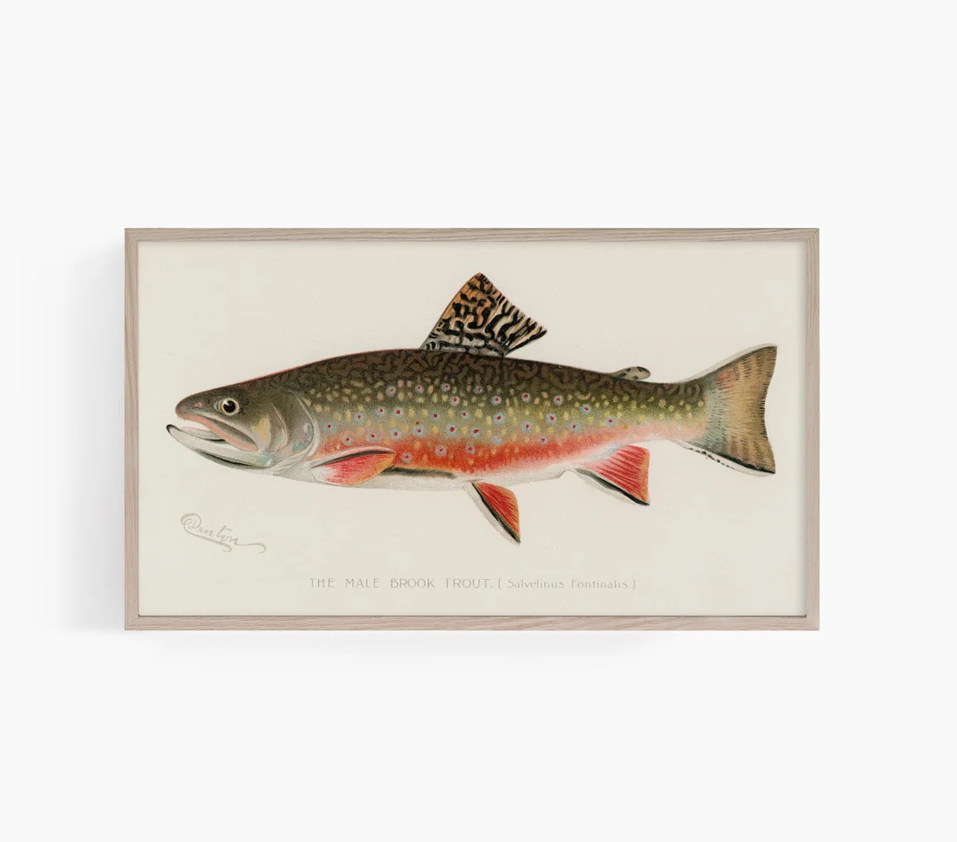 Samsung Frame TV Art | Fish Frame TV Art | Summer Frame TV Art | Cabin Frame Tv Art | Sherman Den... | Etsy (US)