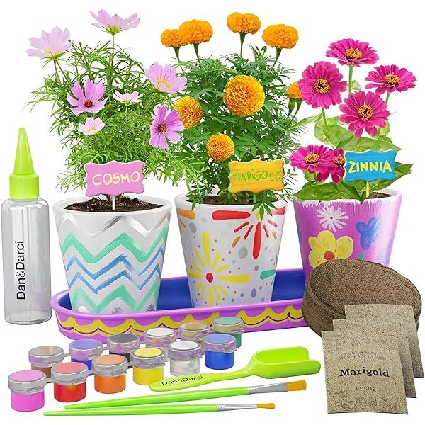 JC-JDFMY11 Paint & Plant Flower Planting Growing Kit - Kids Educational Gardening Birthday Toys -Cra | Amazon (US)