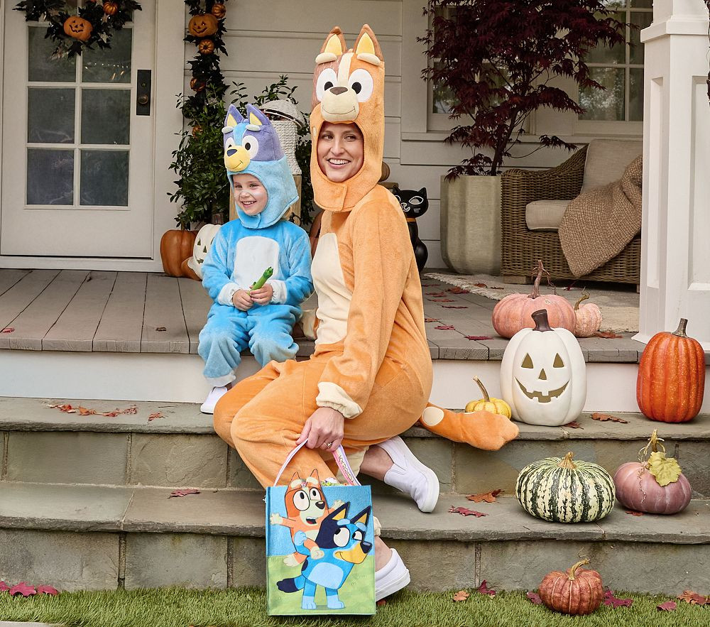 Bluey Adult Chilli Costume | Pottery Barn Kids