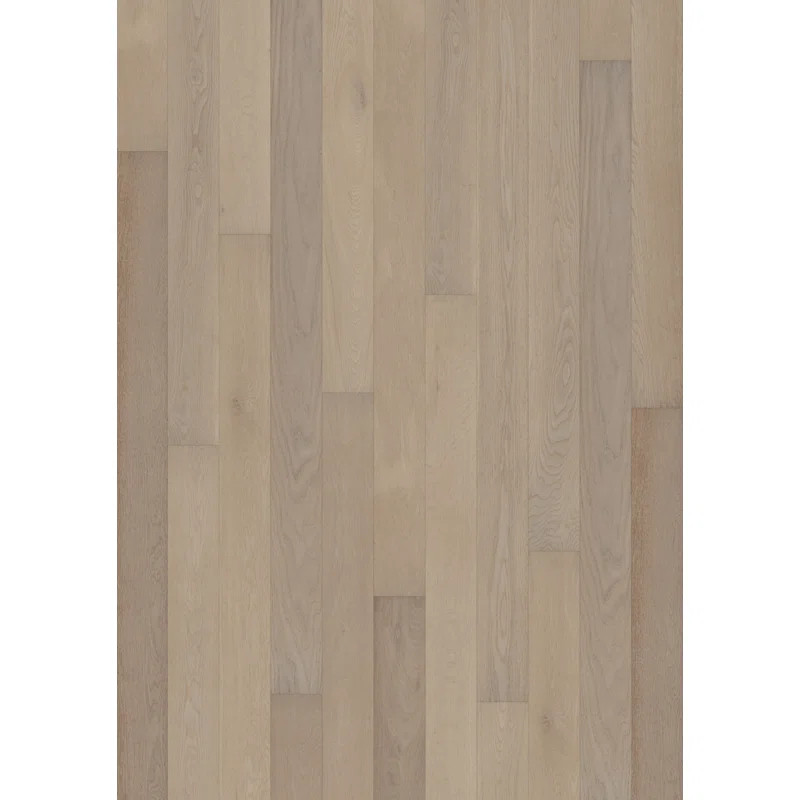 Canvas Oak 7'' W Hardwood Flooring | Wayfair North America