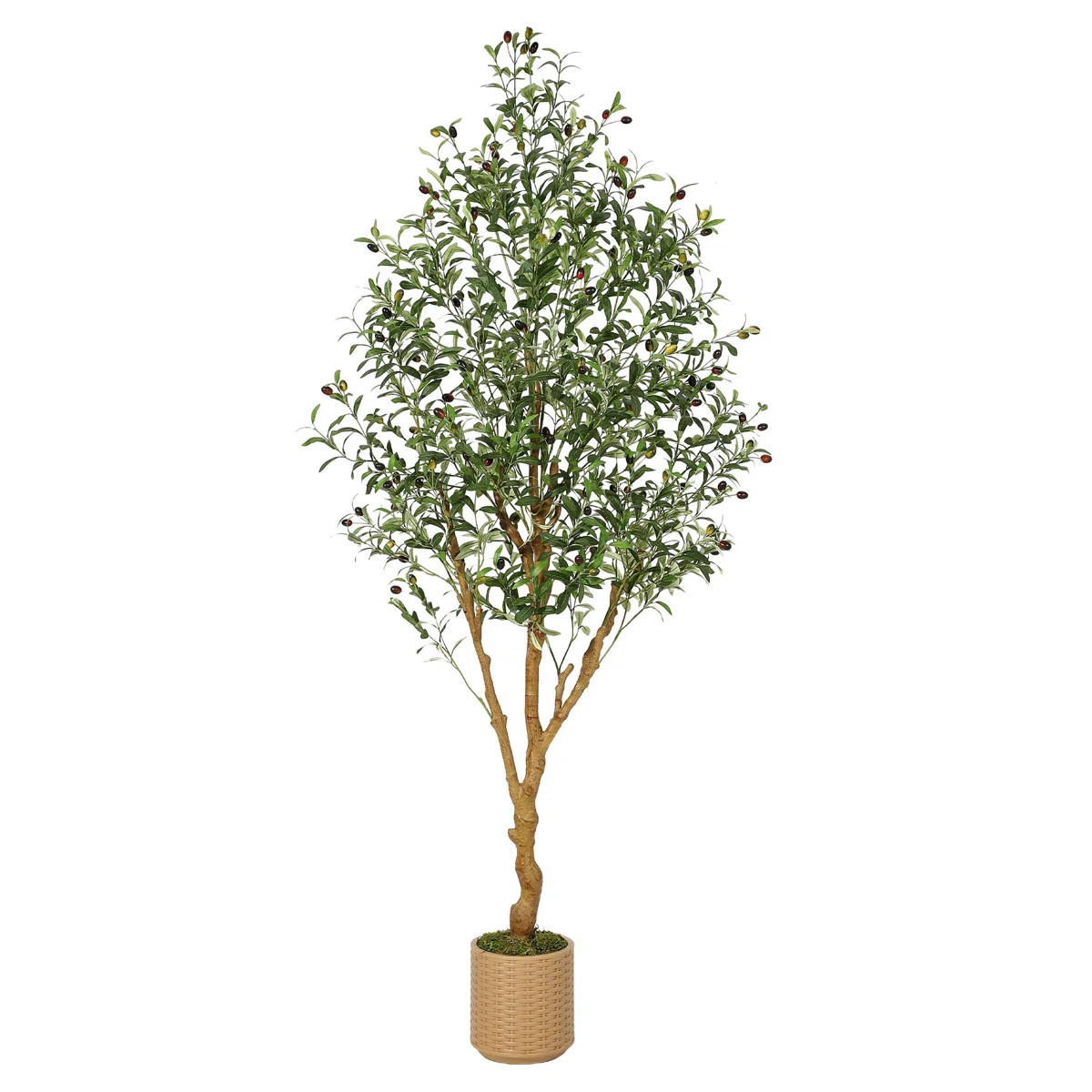 Yuan Home 7Ft Faux Olive Tree, Tall Olive Tree Plants, Fake Potted Olive Silk Tree | Wayfair | Wayfair North America