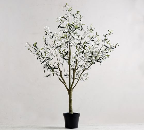 Faux Potted Olive Trees | Pottery Barn (US)