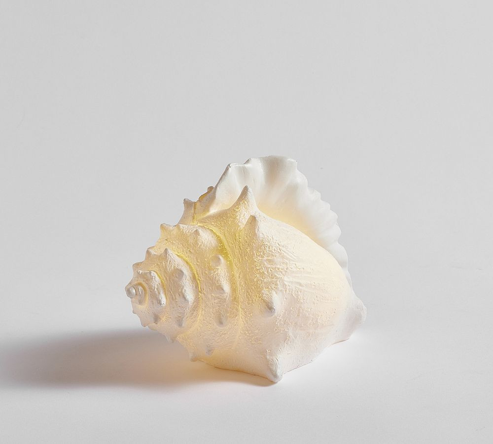 Lit Coastal Object, Conch - White | Pottery Barn (US)