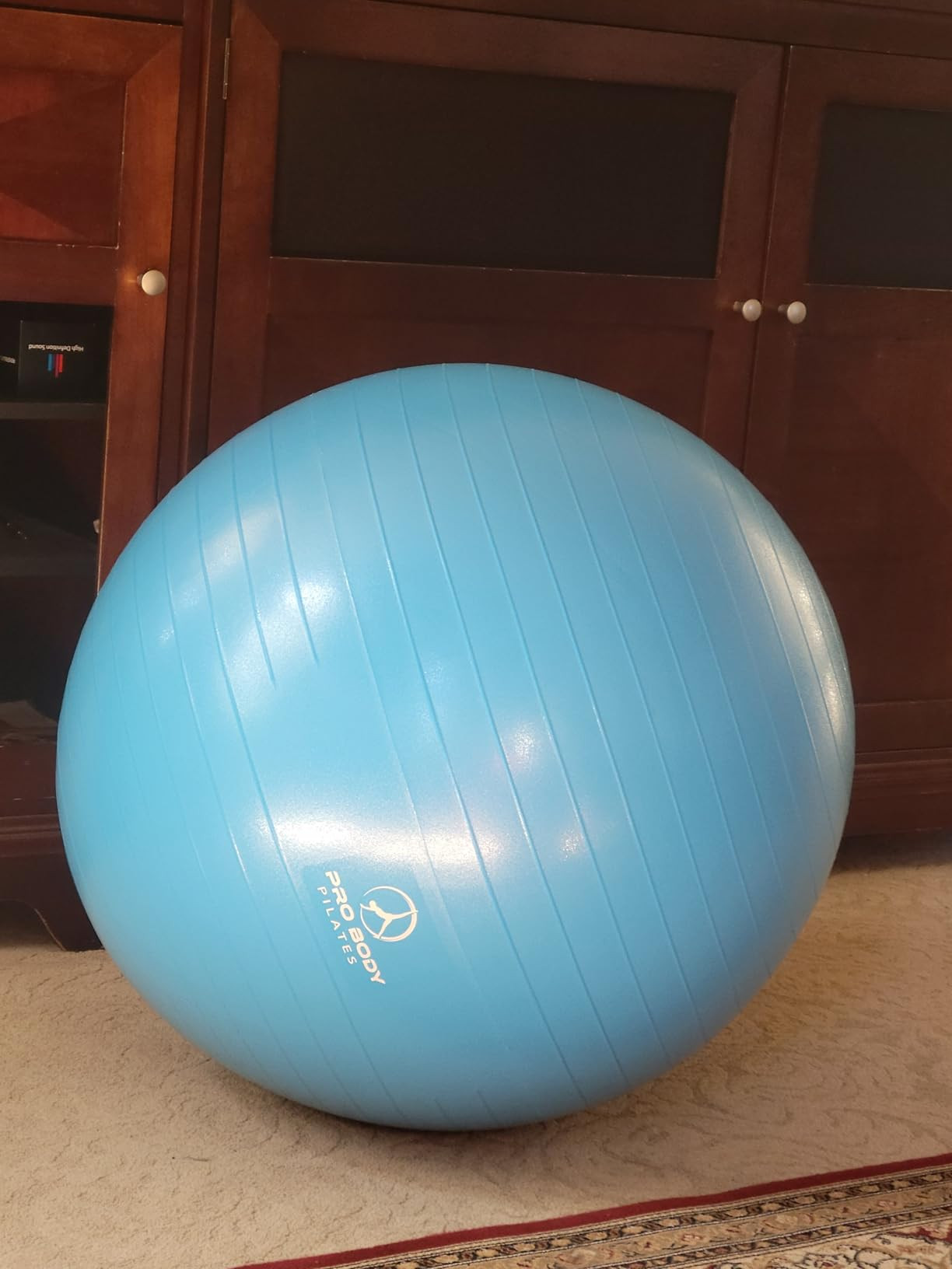 Amazon.com: ProBody Pilates Exercise Ball - Multiple Sizes Gym Grade Balance Ball for Fitness, Wo... | Amazon (US)