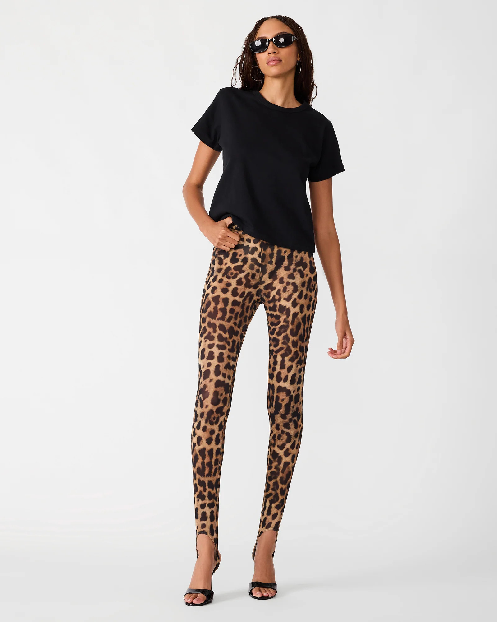 Steve Madden Women's Sandrine Pant Bottoms - Hot Spots Print - Size XL - Polyester/Elastane | Steve Madden (US)