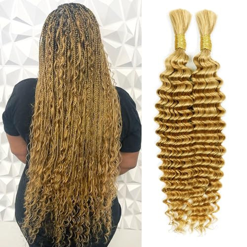 Goulus Deep Wave Bulk Human Hair For Braiding #27 Honey Blonde 100% Unprocessed Brazilian Virgin Human Hair Extensions Two Bundles Micro Braiding Human Hair 100g No Weft(22inch, #27 Honey Blonde Deep) | Amazon (US)
