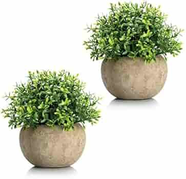 Velener Mini Plastic Artificial Plants Benn Grass in Pot for Home Decor (Set of 2) | Amazon (US)