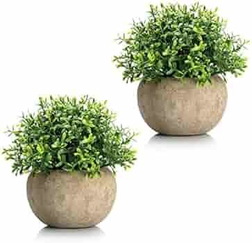Velener Mini Plastic Artificial Plants Benn Grass in Pot for Home Decor (Set of 2) | Amazon (US)