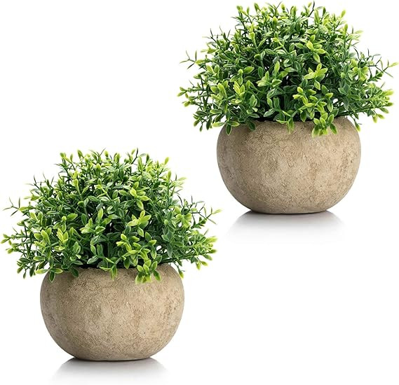 Velener 2Pcs Mini Artificial Boxwood Topiary Faux Plants Indoor- Small Fake Plants Decor Magnolia... | Amazon (US)