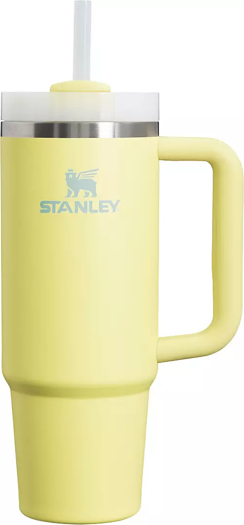 Stanley 30 oz. Quencher H2.0 FlowState Tumbler | Dick's Sporting Goods