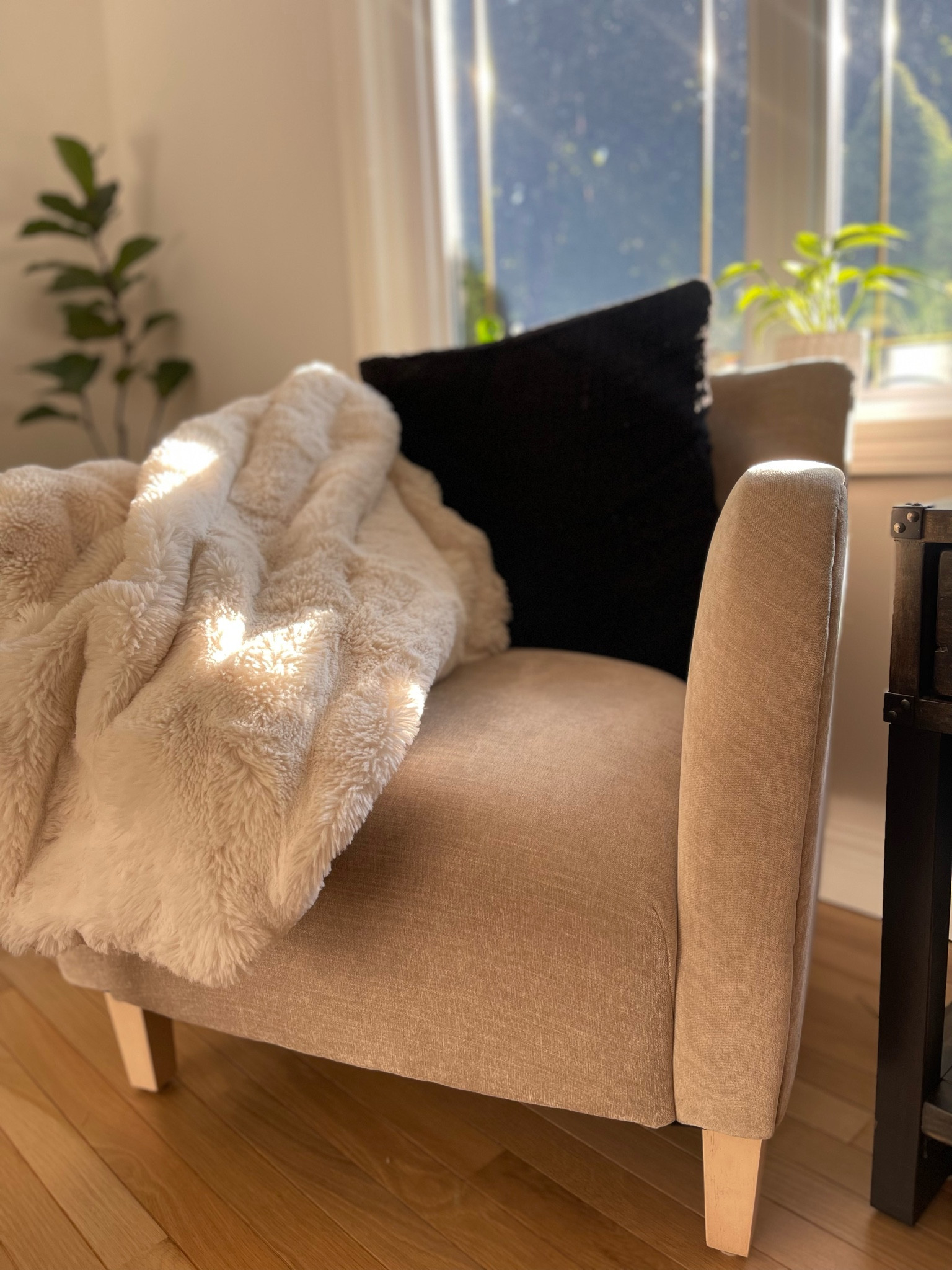 Wingback Accent Chair from Target! 
Love this pretty and practical accent chair! Perfect for smaller spaces! Loving the neutral beige colour! 


Living room Inspo, accent chair, wingarm chair, studio McGee x threshold, target style, target circle week, on sale, sale alert, boujie on a budget, boujee on a budget 

#LTKOver40 #LTKHome #LTKSaleAlert