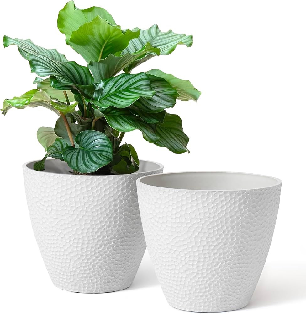 LA JOLIE MUSE Plant Pots 14 Inch Set of 2,White Planters for Indoor Plants, Modern Decorative Flo... | Amazon (US)
