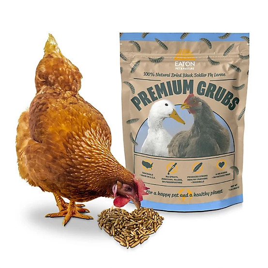 Eaton Pet & Pasture  Premium Grubs, USA Grown Dried Black Soldier Fly Larvae | Tractor Supply