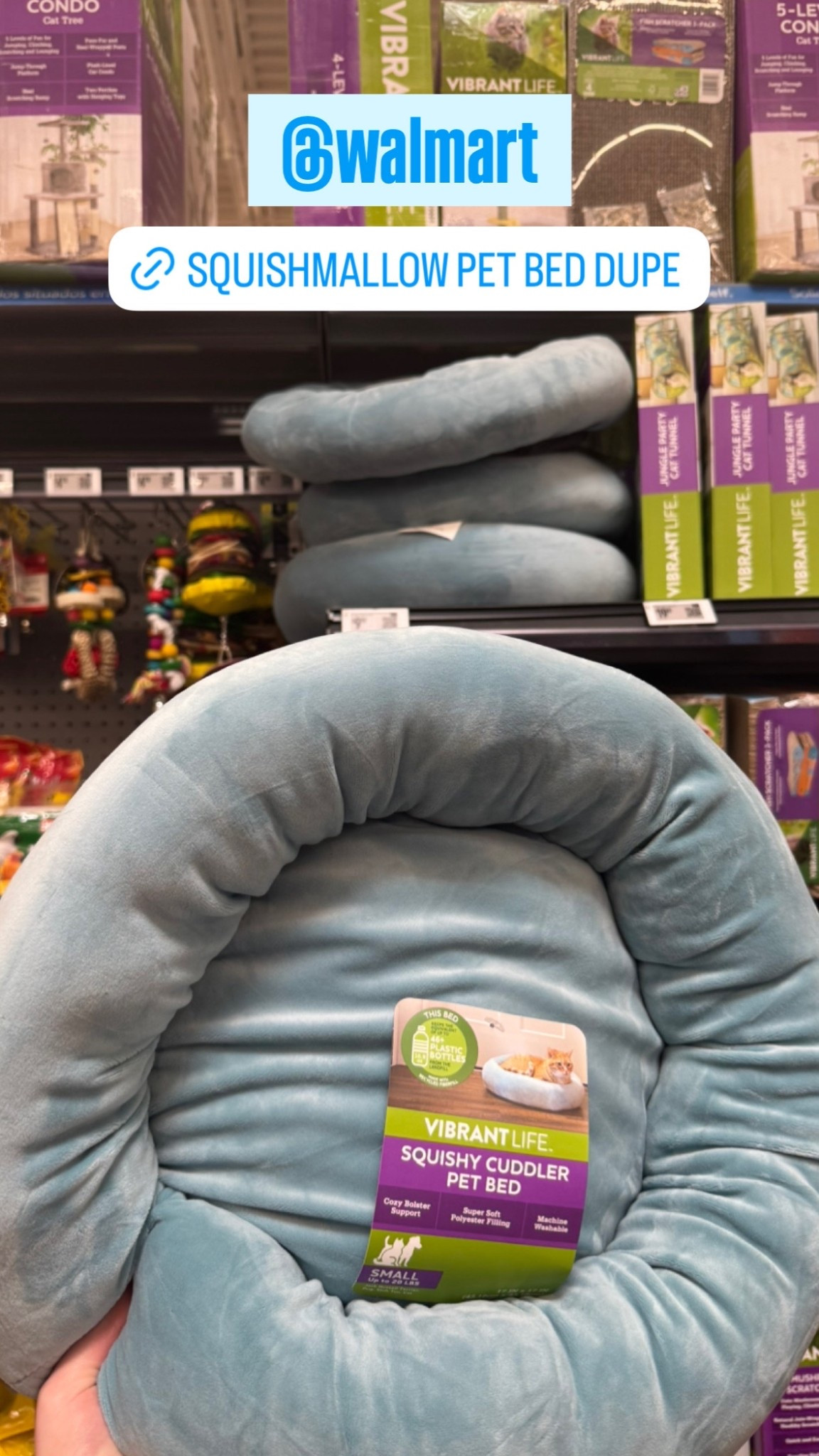 Walmart Squishmallow Pet Bed Dupe for $10 😻🙌🏼🐾💙 #squishmallow #squish #petbeds #catbed #dogbed #squishmallowbed #squishmallows #squishmallowpetbed 

#LTKPets #LTKHome #LTKFamily