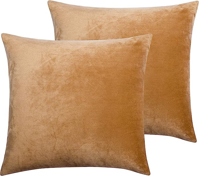 NTBAY Velvet 2 Pack Square Zippered Throw Pillow Covers, Super Soft and Luxury Euro Cushion Cover... | Amazon (US)