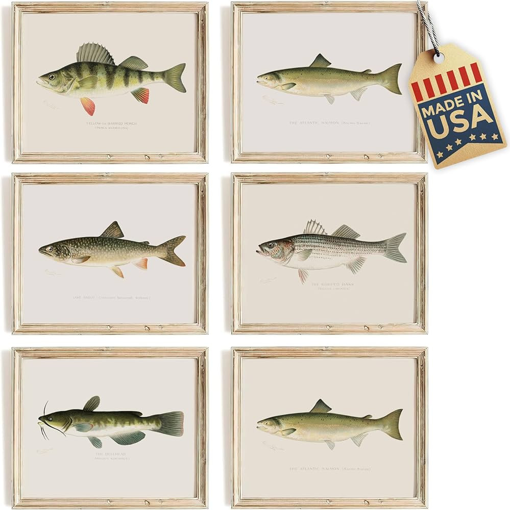 Fish Wall Art Prints (Set of 6) - Unframed - 8x10s | Vintage Fishing Decor - Reproductions of Vin... | Amazon (US)