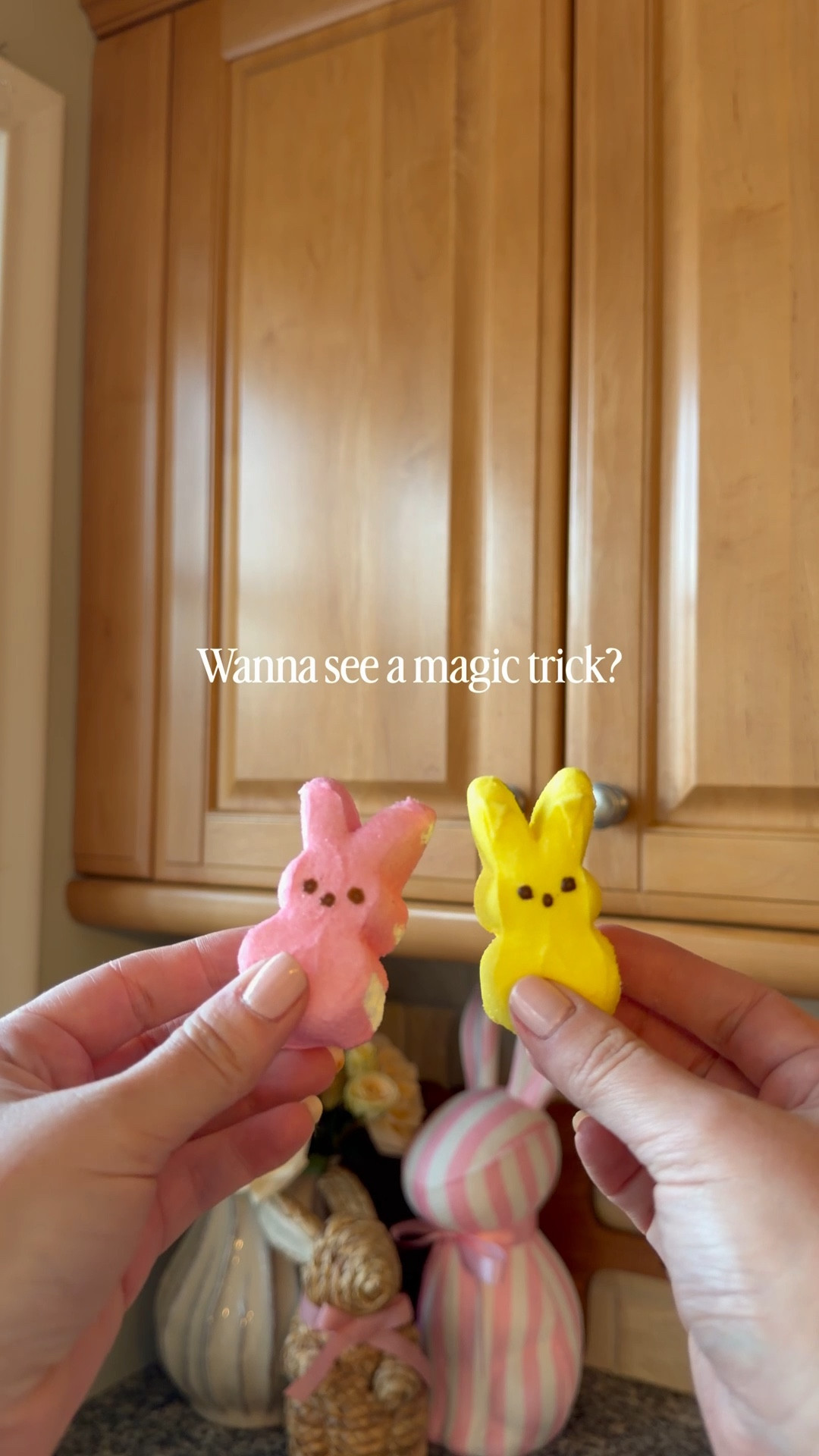 These are my favorites!! They’re so easy and the best way to add a pop of decor to your kitchen. And the Peeps ones are simply too adorable!! 🥰 

#LTKHome #LTKSeasonal