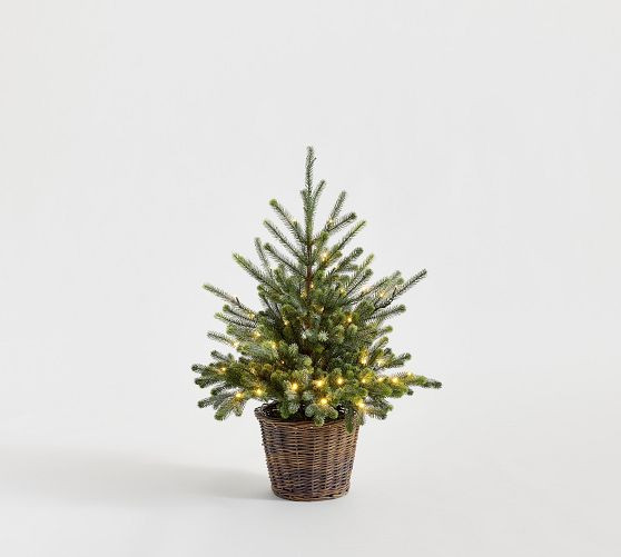 Faux Lit Blue Spruce Tree | Pottery Barn (US)