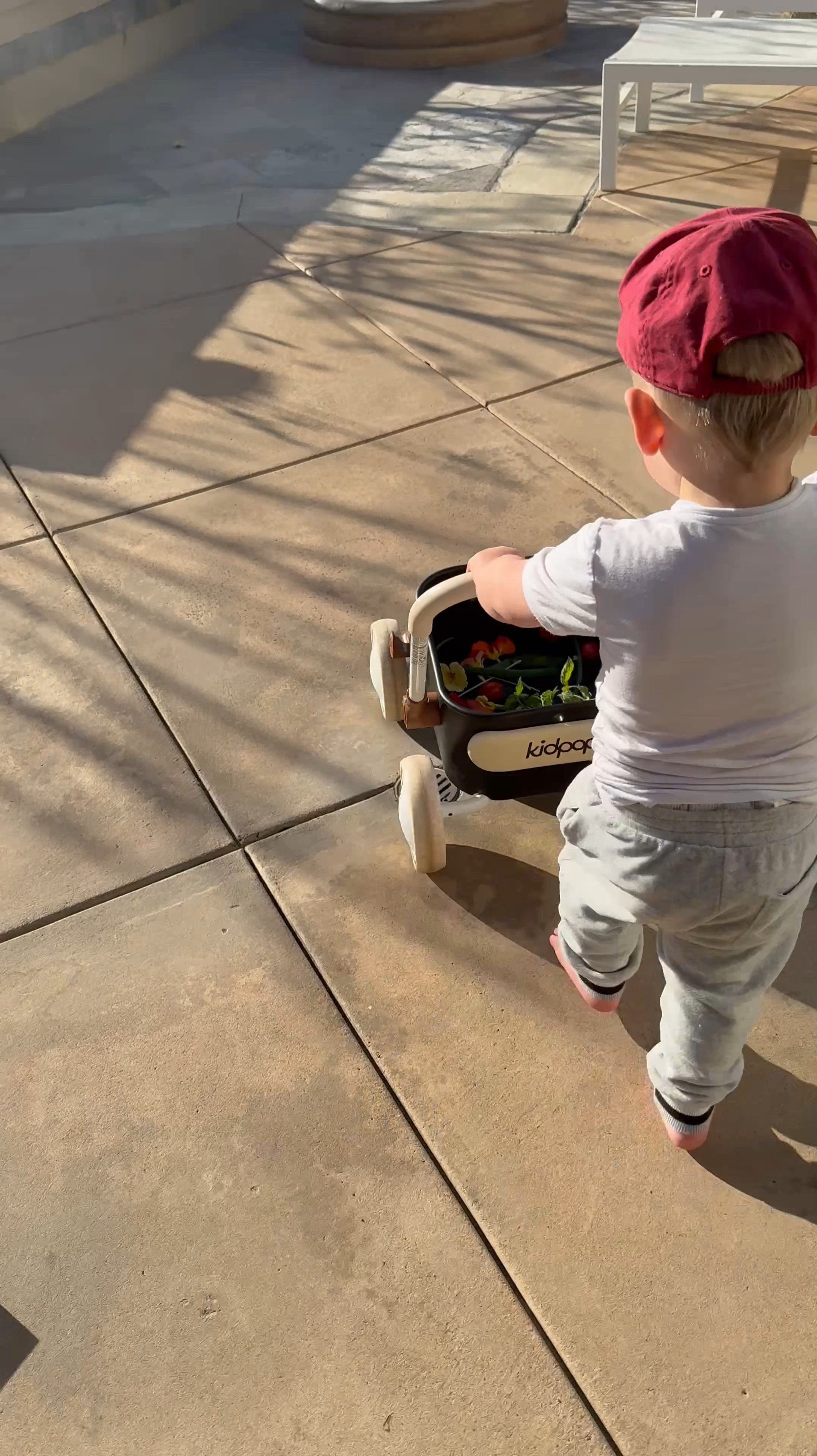 Love this push walker/wagon for my toddler! He loves to use it for our garden 🥰

#LTKBaby #LTKKids #LTKFamily