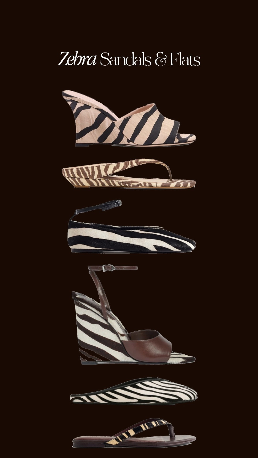 Zebra Flats & Sandals 🛒
