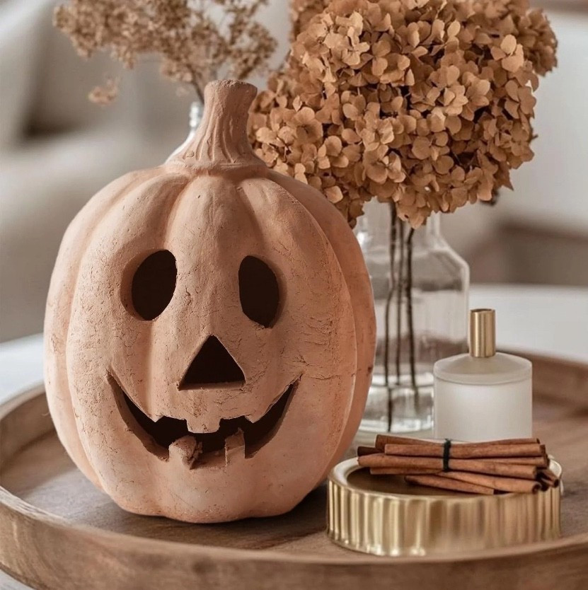 Cute terracotta pumpkins. The tinsel and spice capri candles and diffuser smells amazing. 

#pumpkins #falldecor #terracottapumpkin #capriblue #halloween 

#LTKHome #LTKSeasonal #LTKSaleAlert