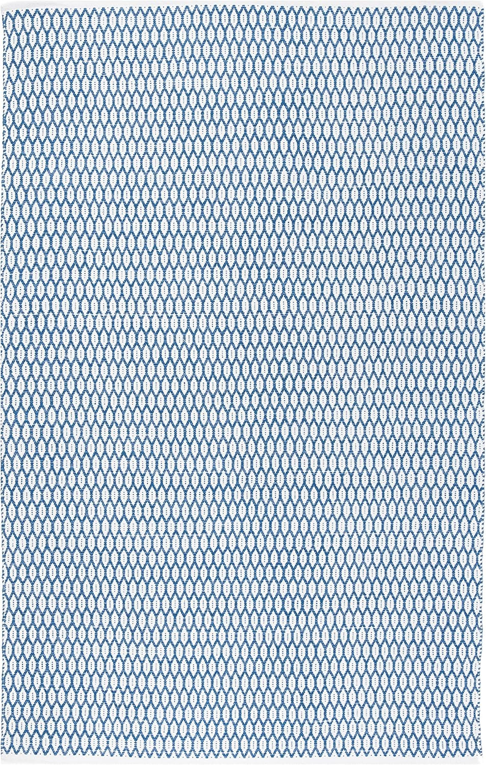 Safavieh Montauk Collection MTK608B Handmade Cotton Area Rug, 8' x 10', Blue / Ivory | Amazon (US)