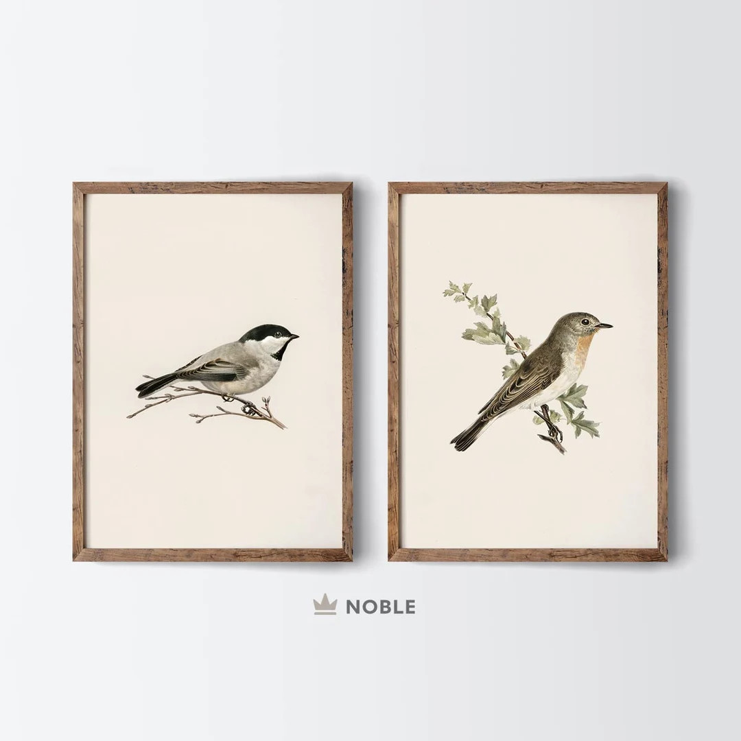 Antique Bird Drawings, Set of 2, Printable Nursery Set of 2 Prints, Farmhouse Kitchen Wall Decor,... | Etsy (US)
