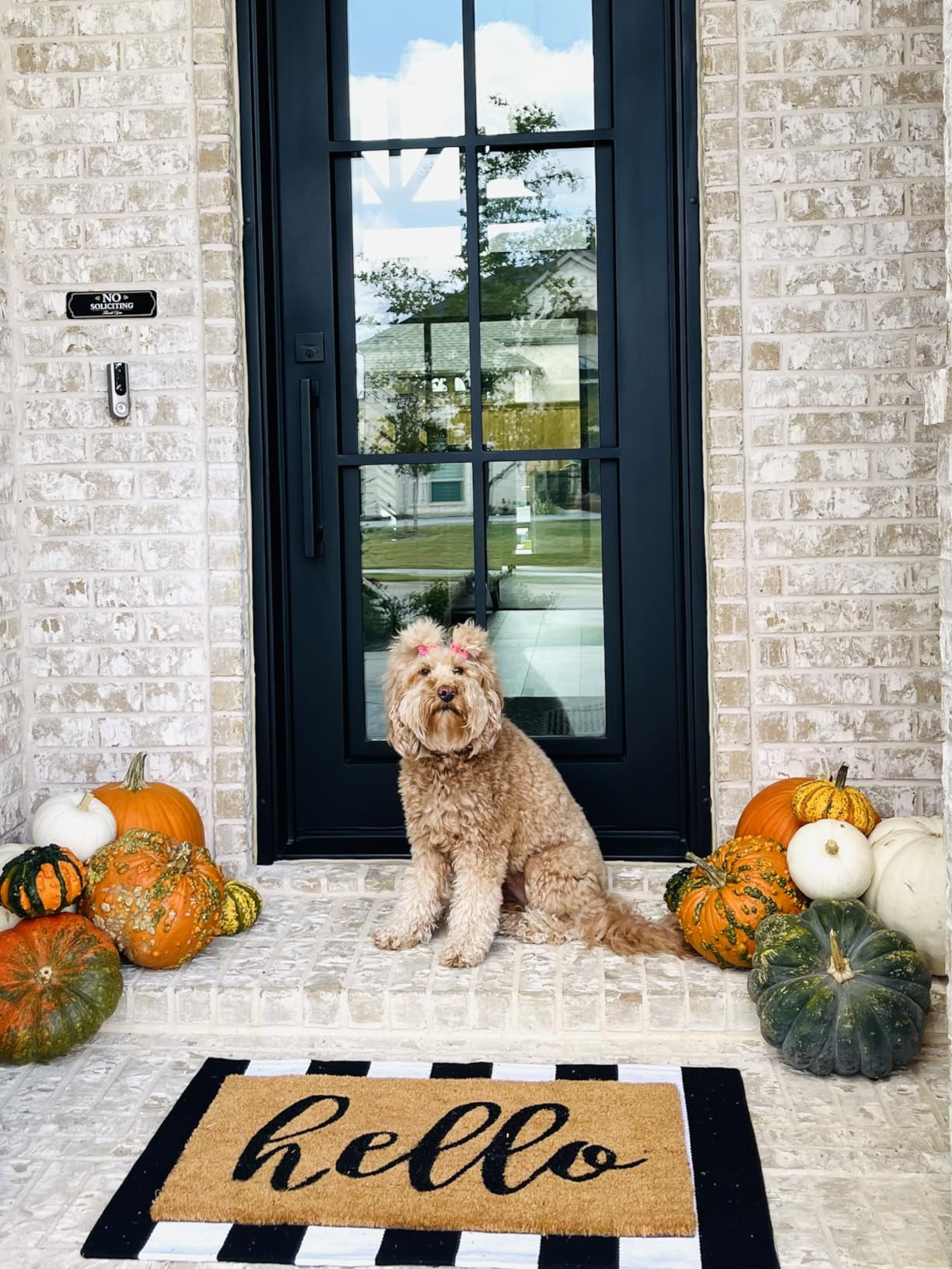 KOZYFLY Black and White Striped Rug Doormat 23.5' x 35.4' Cotton Woven Washable Black Indoor Outd... | Amazon (US)