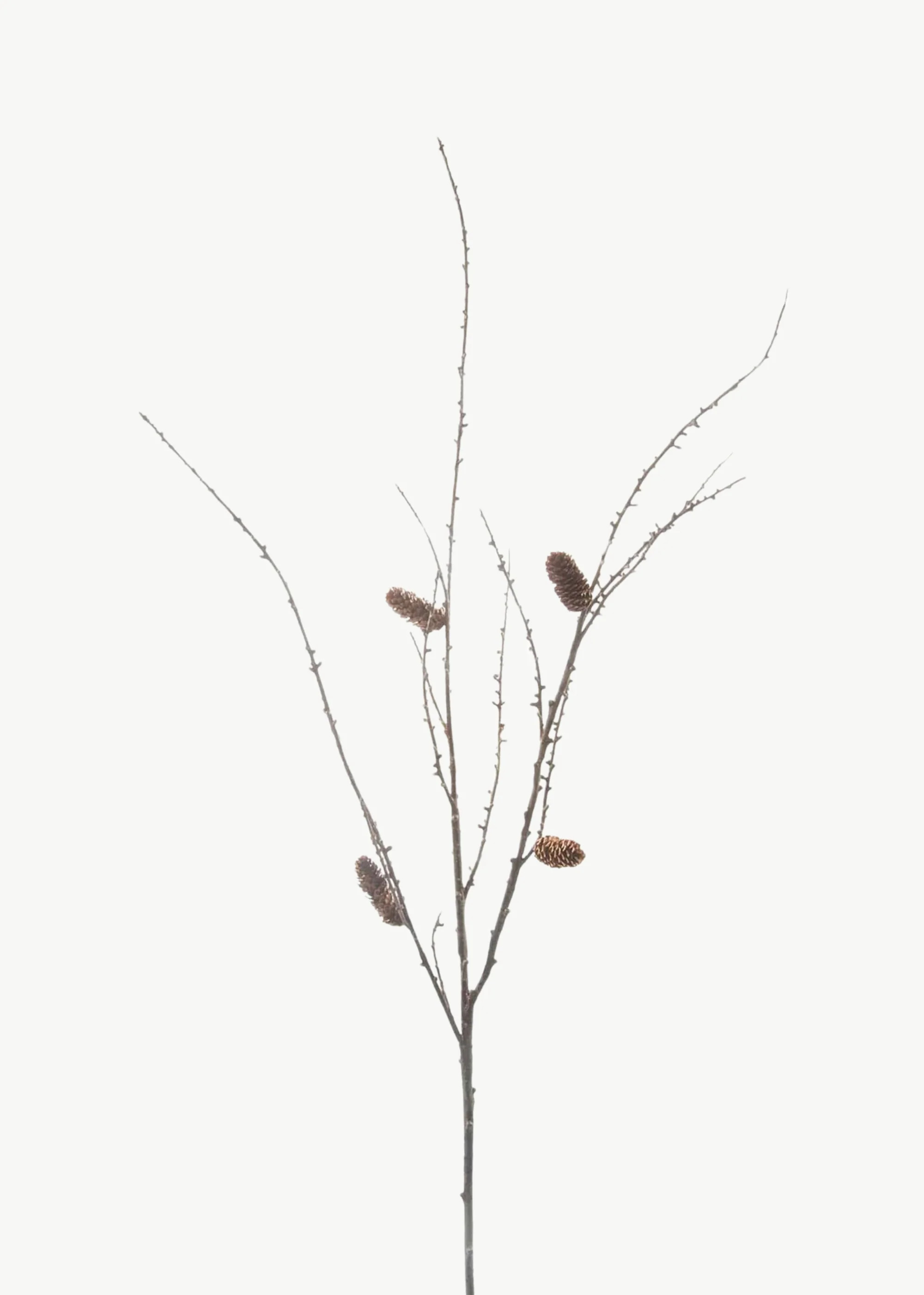 Larch Branch 46" | Faux, with Pinecones | Afloral | Afloral