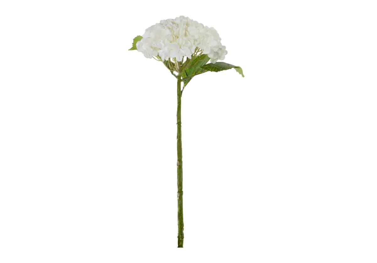 HYDRANGEA STEM | WHITE | Alice Lane Home Collection