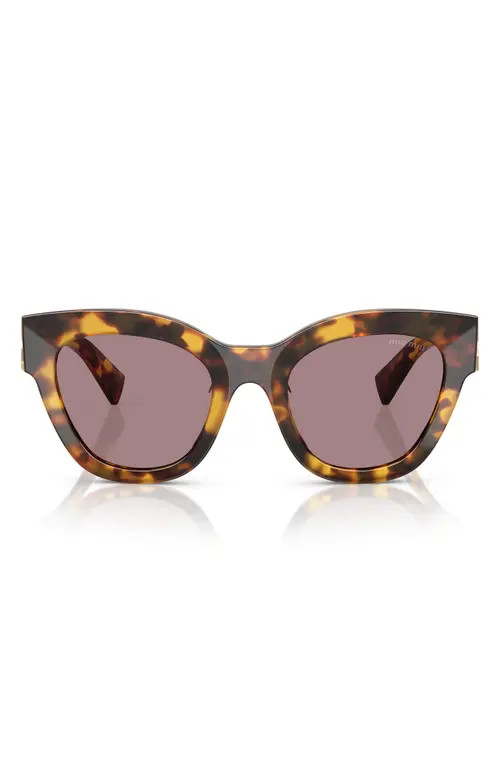 Miu Miu 51mm Butterfly Sunglasses in Honey Havana/Purple Brown at Nordstrom | Nordstrom