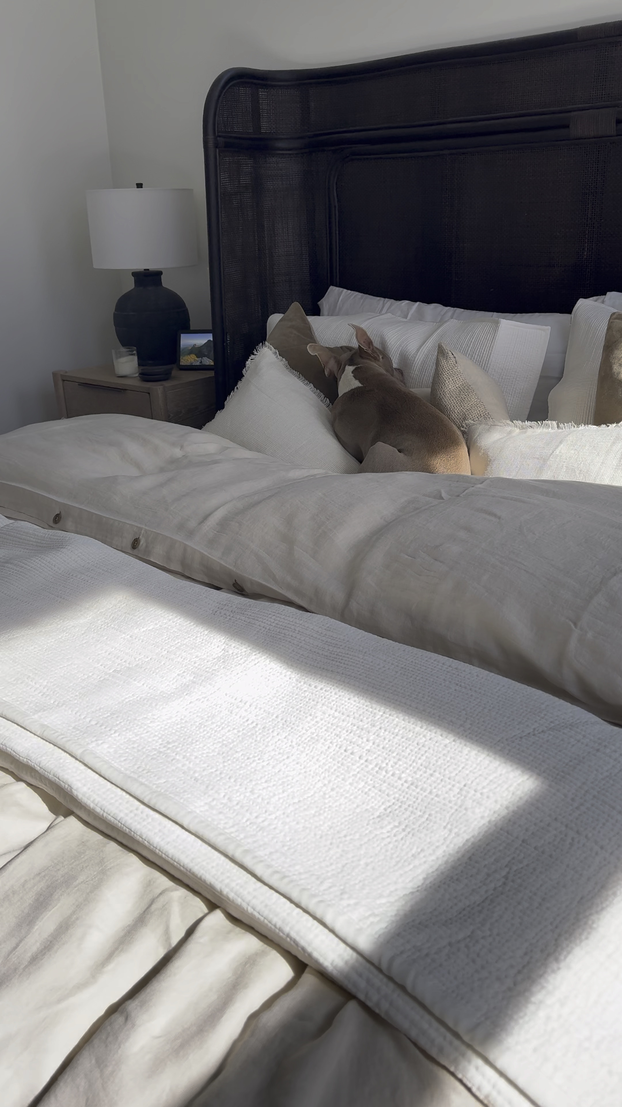 The most comfy master bed set. 

#LTKHome #LTKFamily #LTKSummerSales