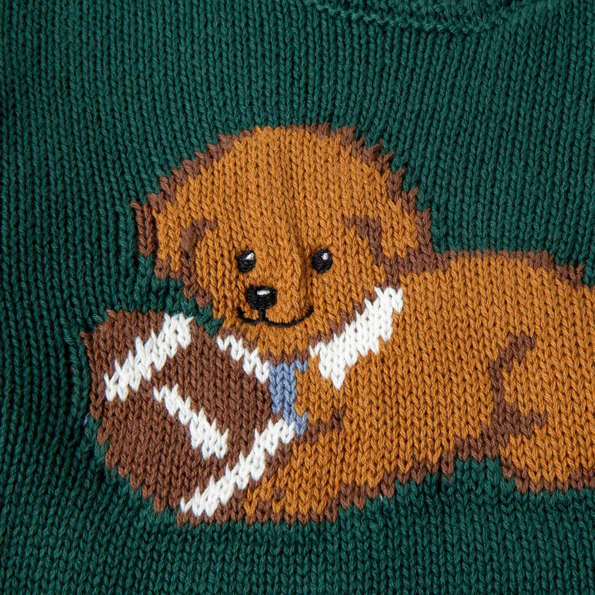 Picolette by Olivia Culpo Baby Boys' Oliver Dog Long Sleeve Crewneck Pullover Sweater - Green 3-6... | Target