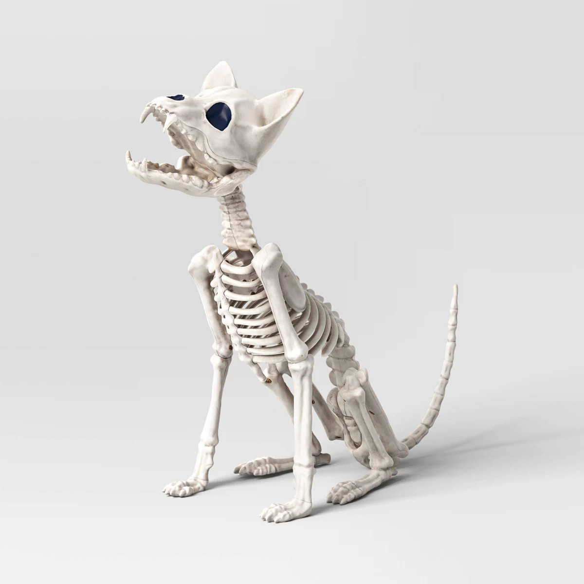 11.5" Chihuahua Skeleton Halloween Decorative Prop - Hyde and EEK! Boutique™ | Target