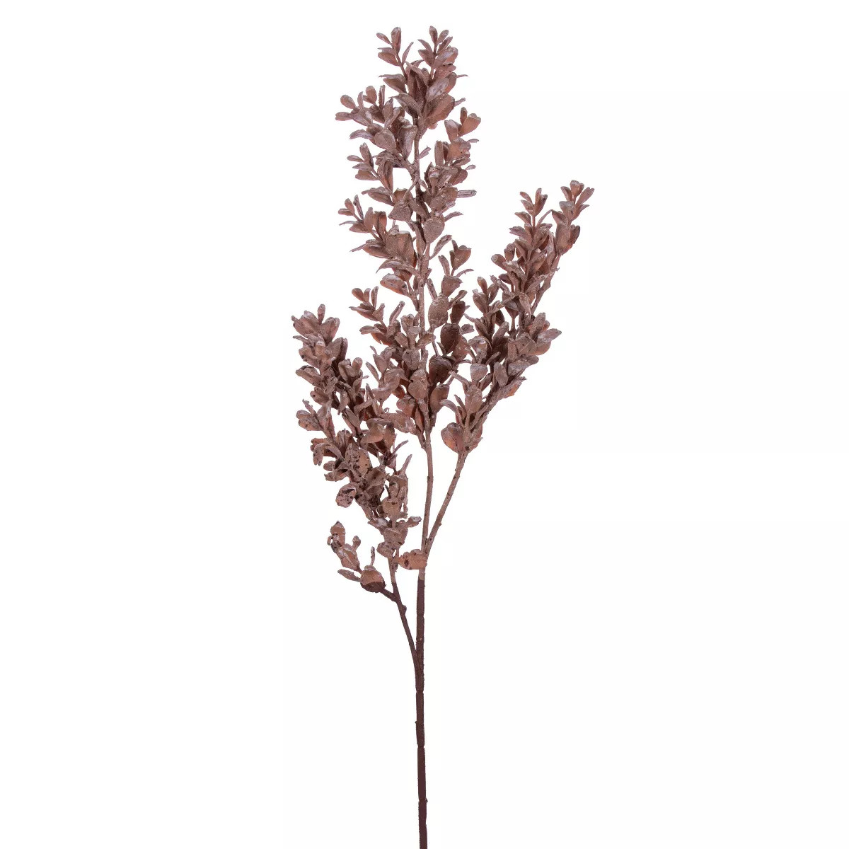 Vickerman Artificial 26" Dry Boxwood Spray | Target