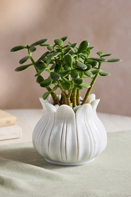 Marble Lotus Planter | Anthropologie (US)