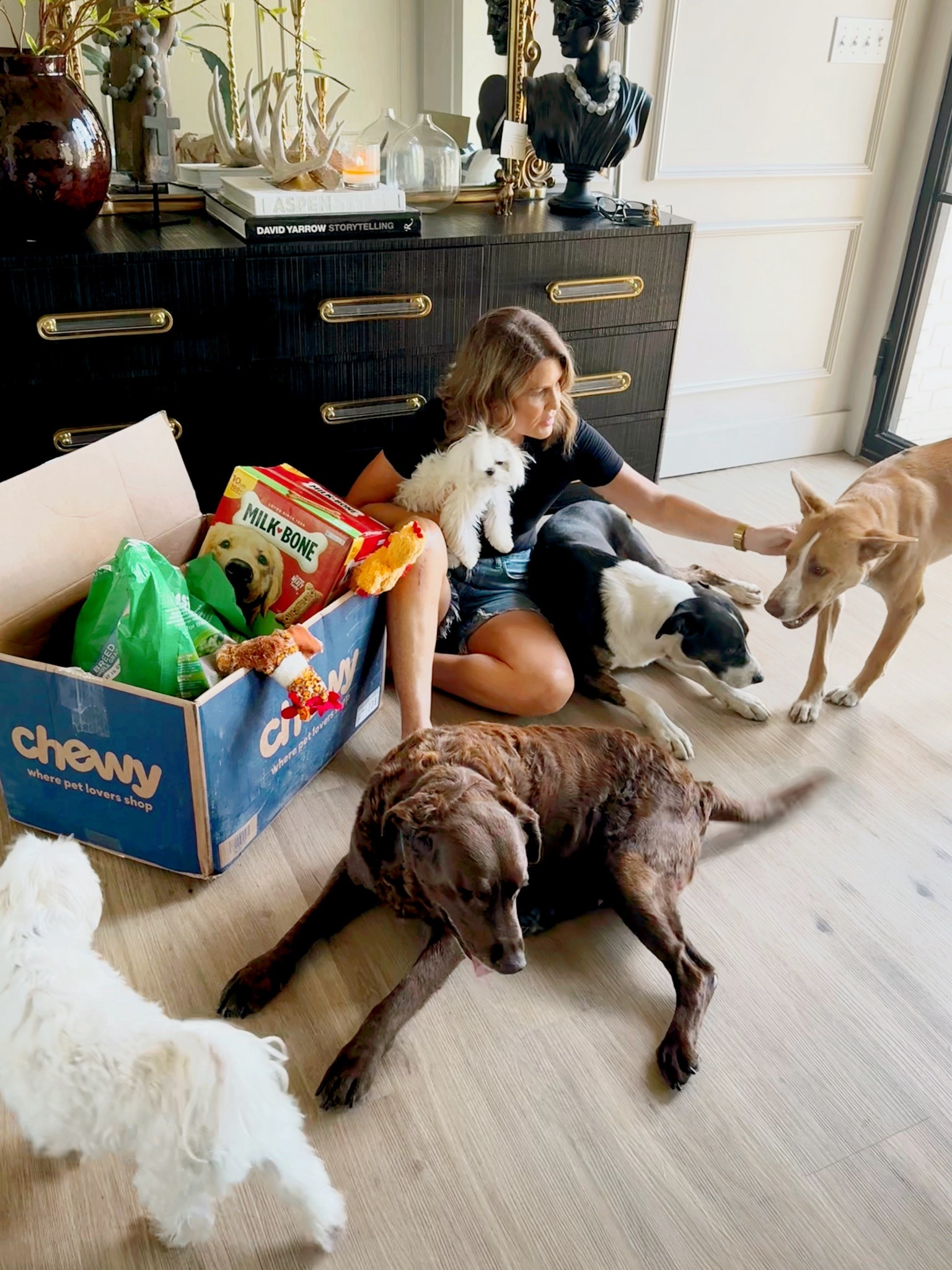 With 5 dogs—yes, you heard me right—we love the convenience of Chewy’s  autoship 🫶🏼 Our dogs are different ages and have various needs. Chewy makes pet care simple, delivering to our front door! @chewy #chewypartner

#LTKPets
