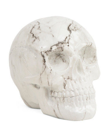 6X6X7.5 Decorative Skull | TJ Maxx