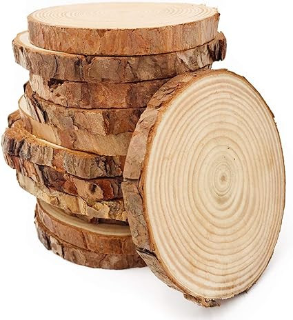 Unfinished Natural Wood Slices 12 Pcs 3.5-4 inch Craft Wood kit Circles Crafts Christmas Ornament... | Amazon (US)