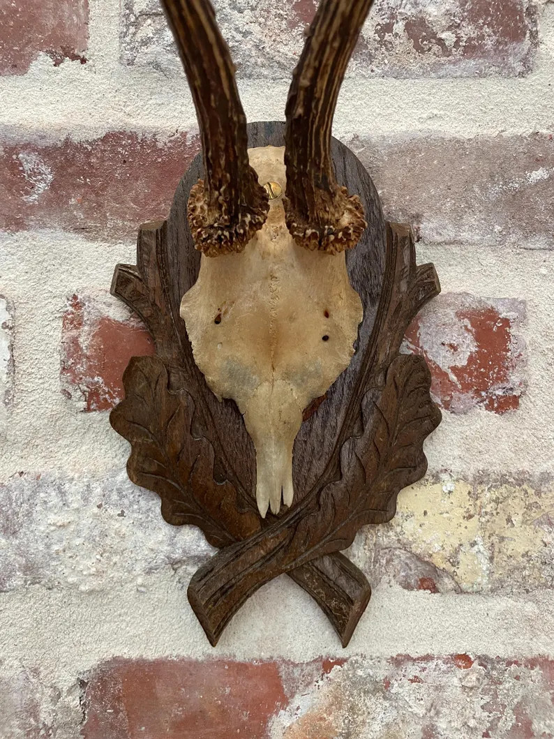 Vintage Roe Deer Antlers on Carved Plaque - German Hunting Trophy | Etsy (US)