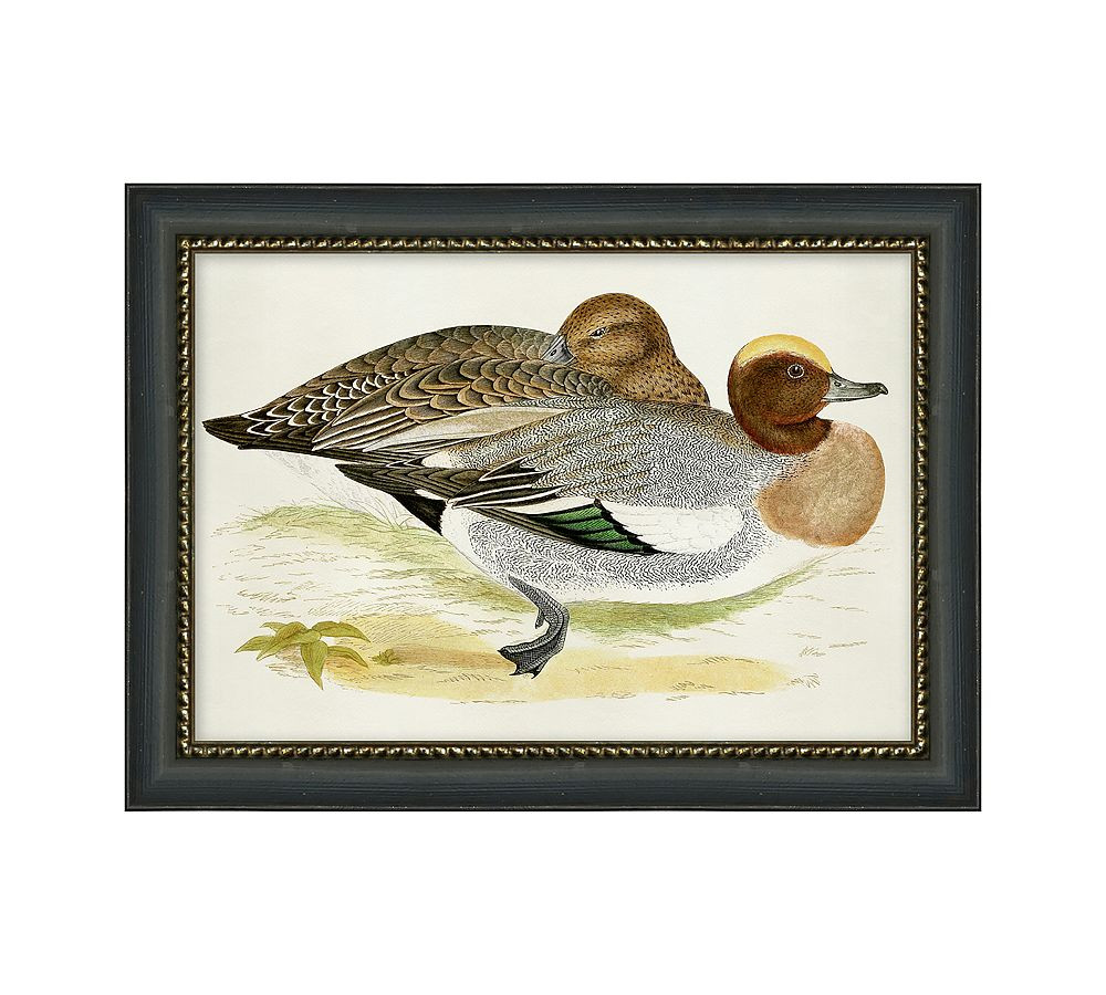 Cottage Ducks Framed Print | Pottery Barn (US)
