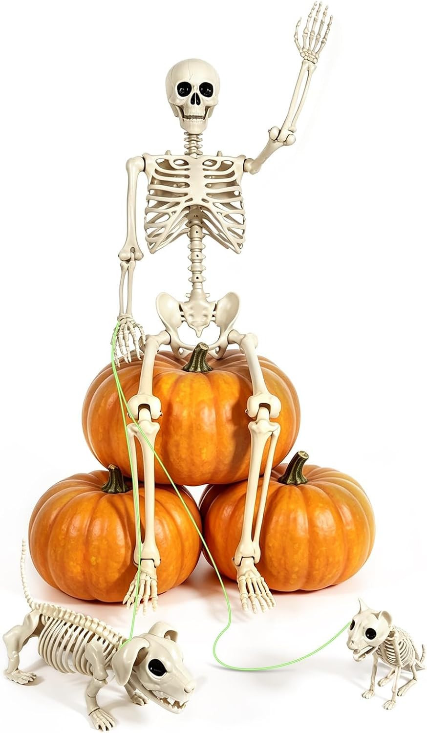 esgwork 5.5FT Halloween Skeleton Decoration, Posable Full Size with Dog Cat | Amazon (US)