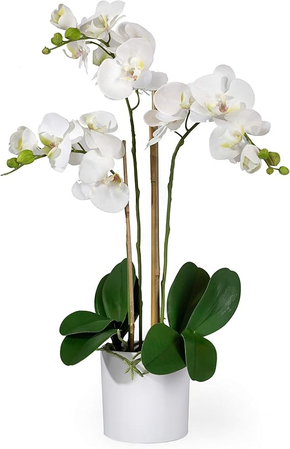 Serene Spaces Living 3 White Realistic Phalaenopsis Orchids in Pot, Artificial Potted Flowers - B... | Amazon (US)
