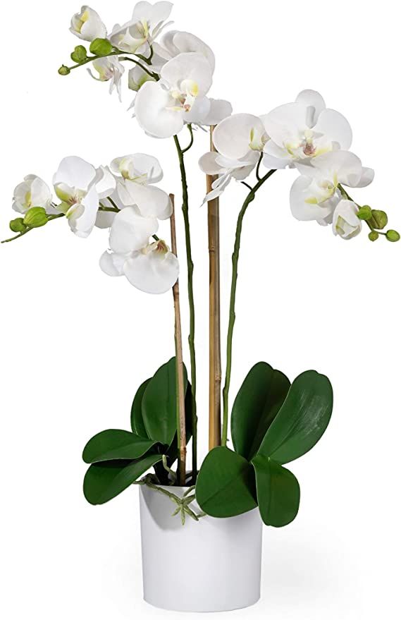 Serene Spaces Living 3 White Realistic Phalaenopsis Orchids in Pot, Artificial Potted Flowers - B... | Amazon (US)