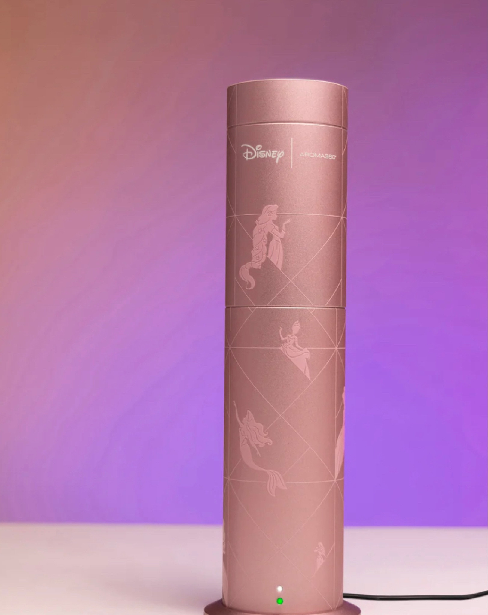 Disney Room Scents

#giftguide #ltkgiftguide #disney

#LTKHome