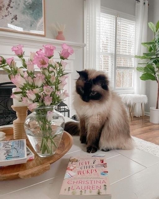 This story follows childhood best friends to lovers who reconnect years later after heartbreak… switching between past and present and literally pulling at your heart the whole time 😭💔 it’s the kind of book that makes you feel EVERYTHING… first love, loss, and second chances all in one  ￼

It’s on sale right now so grab it because this is one of those reads you won’t stop thinking about once you start 🥹✨

#BookTok #RomanceReads #MustRead #EmotionalReads #SpringReading

#LTKstorytime #LTKselfcare #LTKmorningroutine