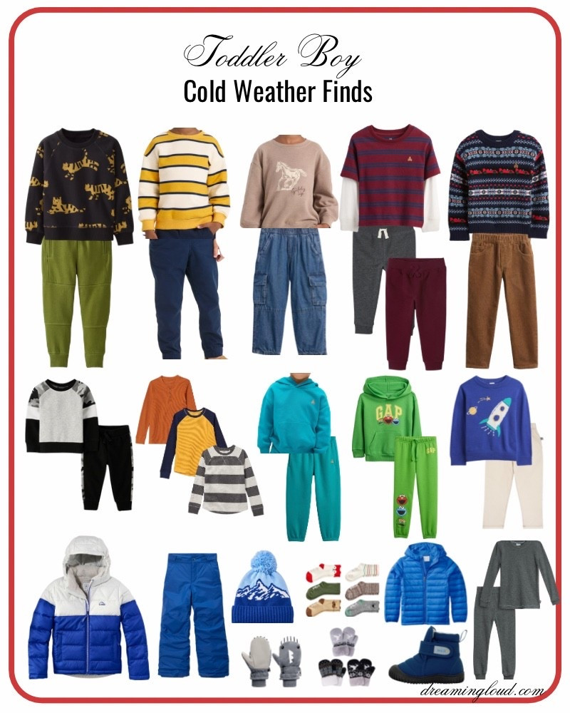 Toddler boy fall and winter fashion finds, toddler boy winter essentials, target cat and jack toddler boy favorites, Hanna Anderson favorites 

#LTKSeasonal #LTKKids #LTKFindsUnder50