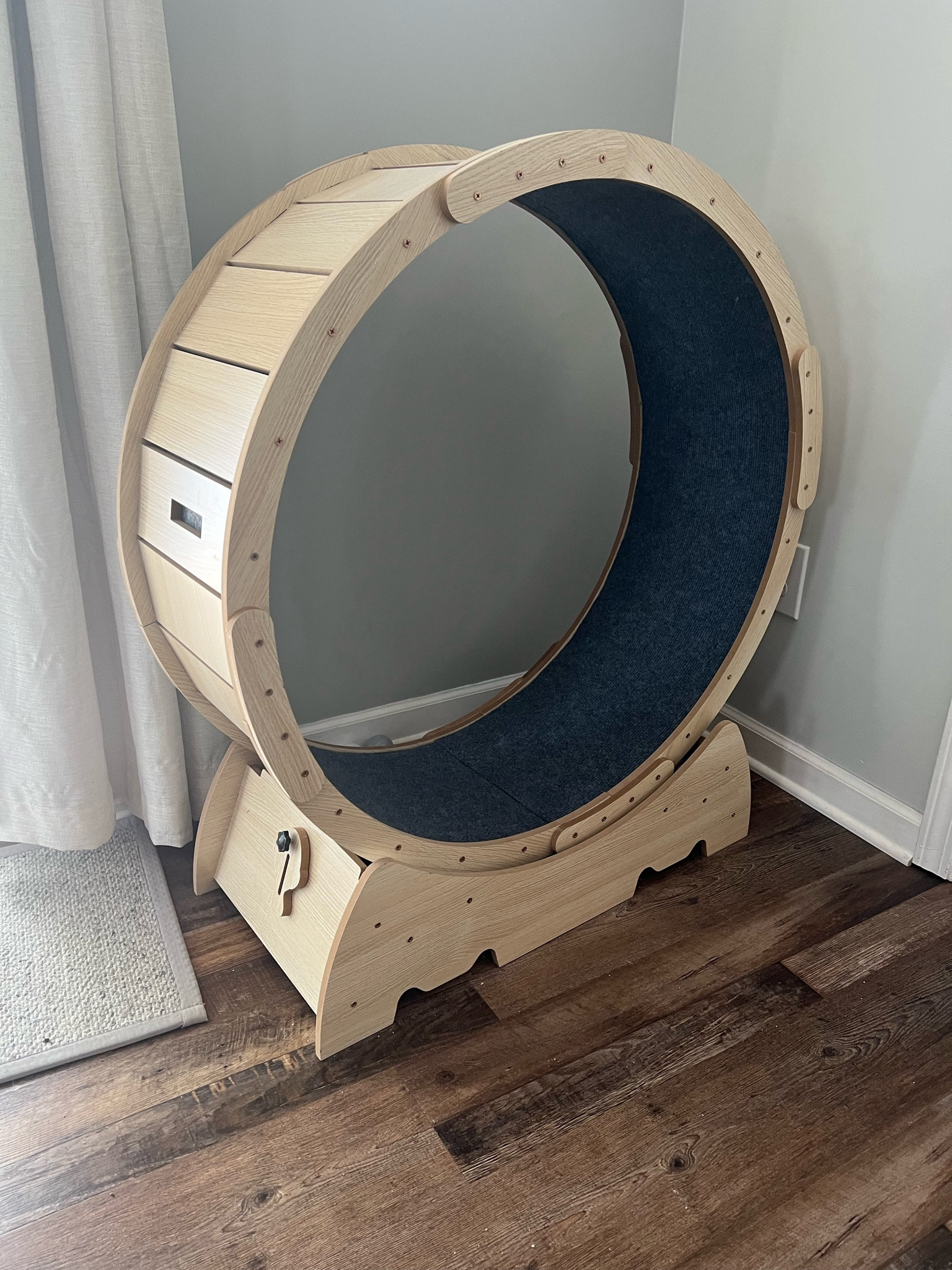 Cat Wheel 🫶🏼

#catwheel #cattoy

#LTKhome #LTKfamily #LTKFind